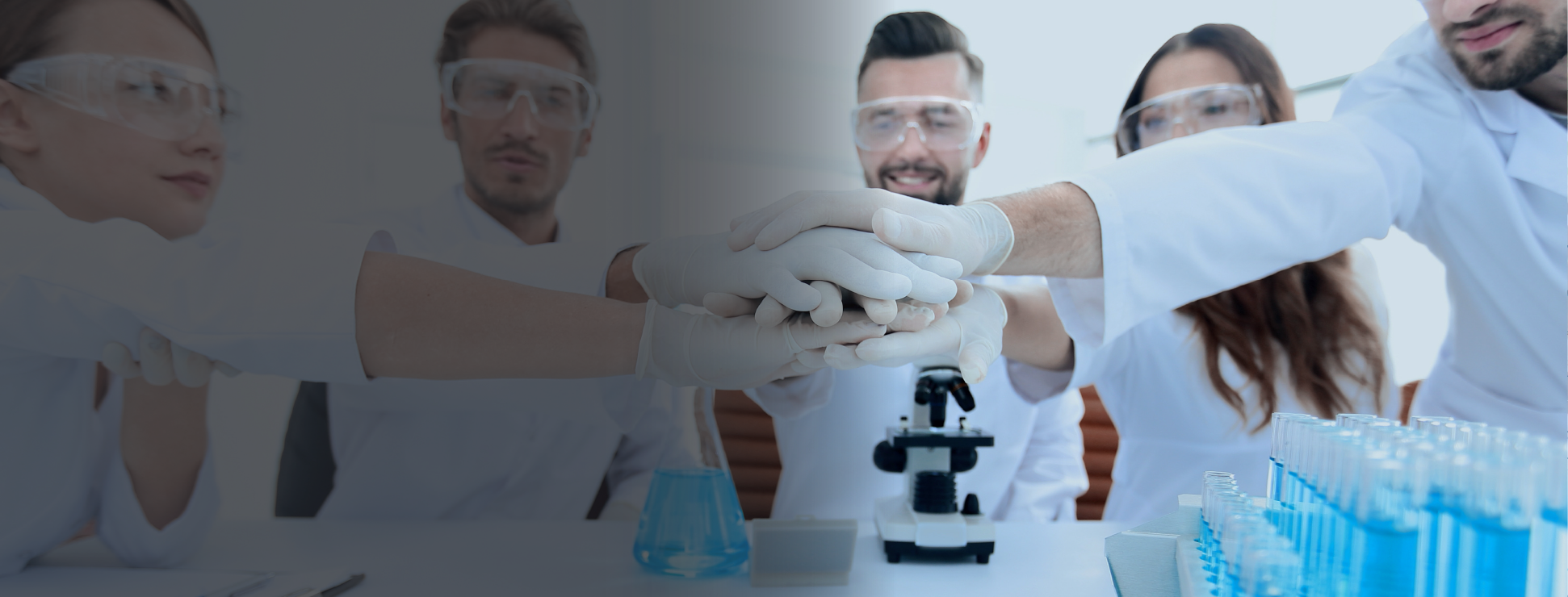 An image of a team working together in a lab after their training design has been completed and after getting the right training to the right people.