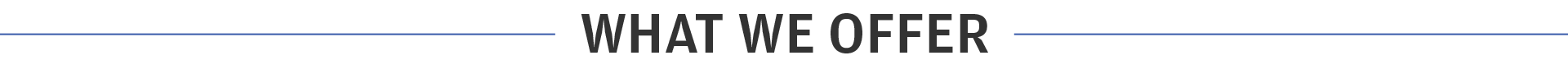 What We Offer